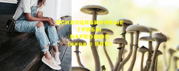 хмурый Кулебаки